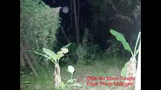 Orbs No Moon Flash Photos