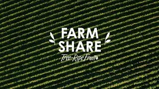 Join Our Farm Share | Tree-Ripe Fruit Co.