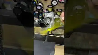Avet SXJ 6/4 RAPTOR #fishingvideo #avetreels #avet #fishingvideos #fishing ci