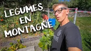 JARDIN ET EXTERIEUR - Passion R&eacute;novation Ep23 - potager legumes