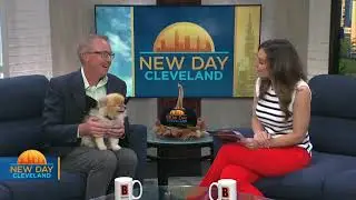 FOX 8 NEWS Cleveland New Day Cleveland: Spooky Pooch Parade