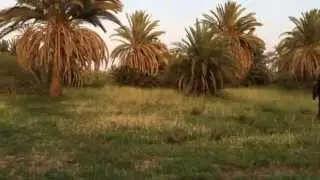 عبده جروب Abdo Gurroub