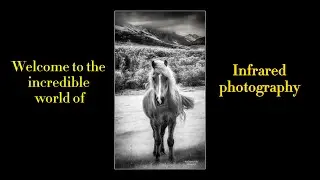Get hooked on amazing Infrared photography