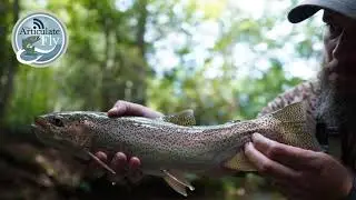 S1, Ep 57: WNC Fishing Report with the Nantahala Sasquatch