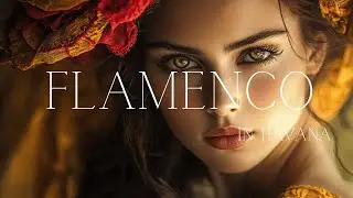 Flamenco Havana Malec&oacute;n Tempest Passion Unleashed / Centro Habana Nights Ablaze with Spanish Rhythms
