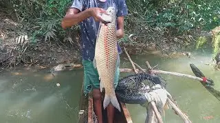 Amazing!!!🇱🇰 big Fishcathing video