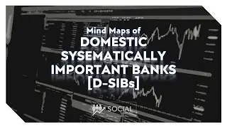 Domestic Systematically Important Banks [DSIB]