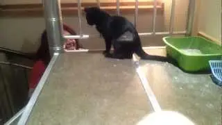 Lexie having a play