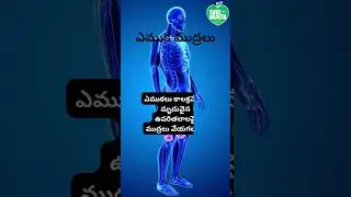 ఎముక ముద్రలు/Bone Imprints #healthsecrets #bones #medicalprofessional #surehealth #bonehealth  #fact