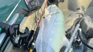 Big Fish catch with small set up #fishing #fish  #kayaking