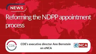 Reforming NDPP appointment process