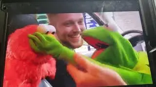Kirmet the frog and elmo reaction