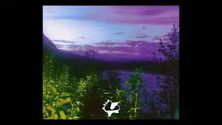 [FREE 10+] Post Punk x Alternative Indie Rock Sample Pack 