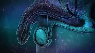 9.39Hz Rife Frequency For Sexual Dysfunction - Pure Isochronic Binaural Beats: Sound Healing Therapy