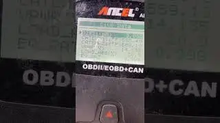 P0456 P0491 P0492 help! Audi Q7 4.2 4L
