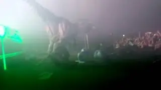 T-reXcision