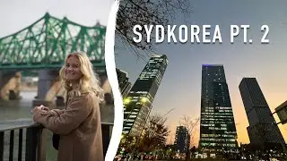 KOREA PT. 2 - Får skæld ud igen..., Cykler, Souvenier jagt, Lækker mad osv.
