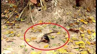 What happen 0n poor baby david Where mom | David scare look for mother.