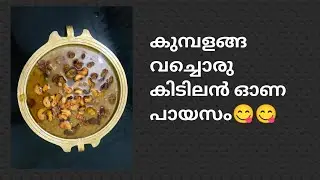 നാടൻ കുമ്പളങ്ങാ വച്ചൊരു കിടിലൻ ഓണപ്പായസം ഉണ്ടാക്കിയാലോ..? Kumbalanga Payasam recepie | Malayalam