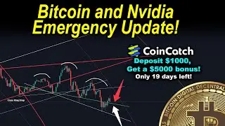 Emergency Bitcoin and Nvidia update!