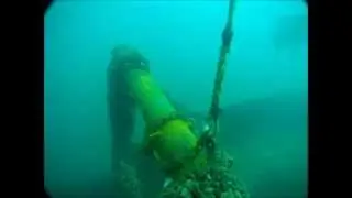 Black sea marine life