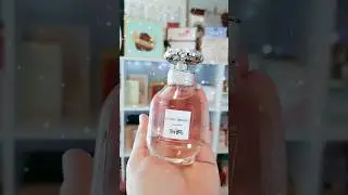 🌸Coach Dreams Perfume! 🌸#shorts #fragrance #coach #coachdreams #scentoftheday