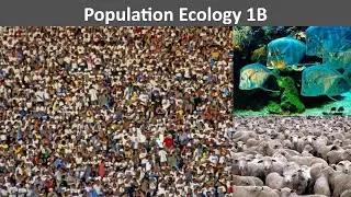 Biology Lesson 2: Population Ecology