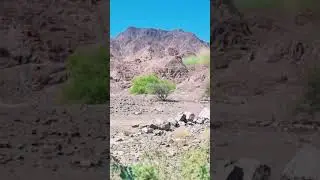 Relaxing spot on Dubai-Hatta Road #shorts #shortsvideo #dubai #nature #mountains #hatta #peaceful