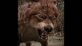 Werewolf Arrives To Defend Her 🔥 Ft. Voce Na Mira Jumstyle | Twilight Saga New Moon 🎬 #shorts