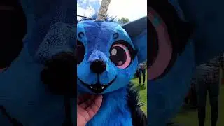 furry-Momente, die nur in Deutschland passieren k&ouml;nnten! 🇩🇪 #furry #fursuit #fursuiters #furries