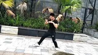 形意拳左右旋胯爆发力特殊     训练方法讲解