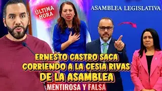 BOMBAZO NAYIB BUKELE SORPRENDIDO ERNESTO CASTRO LE PÊLÂ LA CARA A SECIA RIVAS PRO MENTIRØSÁ 😱