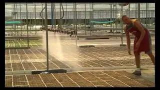 VIDEO AZIENDA AGRICOLA  ORTO MIO ESTATE 2011