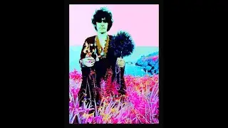 DONOVAN - 'WEAR YOUR LOVE LIKE HEAVEN' - MUSIC FILM