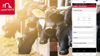 RippleNami Livestock Identification and Traceability