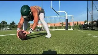 Andrew Palmer Free Agent Long Snapper