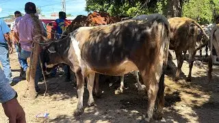 D&iacute;a de plaza &mdash;tiangue de San Rafael Cedros Cuscatl&aacute;n El Salvador🇸🇻❤️ 