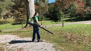 Blowing Leaves with the Ryobi 40V Whisper Series Battery Backpack Leaf Blower
