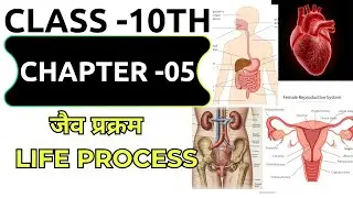 Life Processes class 10 science biology|| Complete CHAPTER IN ONE SHOT ||NCERT Covered| BY Virat sir