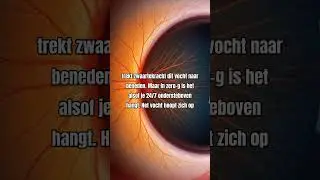 Ruimte Plet Je Oogbollen Plat