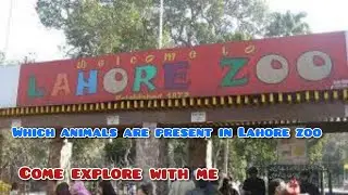 Lahore Zoo 2022 | Lahore zoo | Lahore zoo vlog