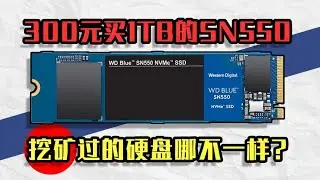 【垃圾佬】矿盘！300元捡1TB-SN550固态！会爆炸吗？