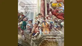 Concerto pour flûte, cordes et basse continue in E Minor, L 2.4: I. Allegro con brio