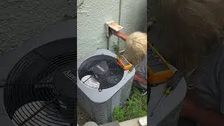 AC 220V REPAIR EDDY SHIPEK ELAINE RICHARDSON 561-693-8636 LIVE