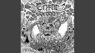 Infecting the Brood (Suffocation)