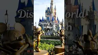 Weather at Disney World in March🤨🥶🥵 #disneyworld #disneytipsandtricks #disneyvacation #disneytrip