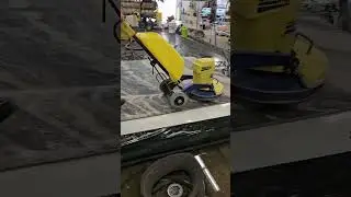 Urine Coated: Full Length Video #Rug #Squeegee #RugCleaning #deepclean #rugclean #satisfying #Rugs