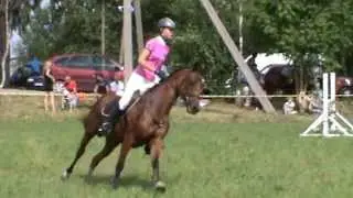 Upyna 2013