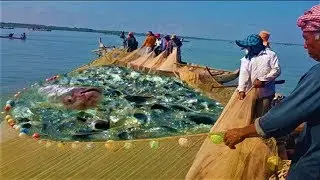 Unbelievable Net Fishing In River - Amazing Cambodian People Catching Fish By Using The Net
