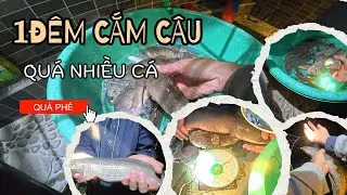 Cắm câu đêm - 1 đêm dính được rất nhiều cá của 2 cậu cháu - night fishing
